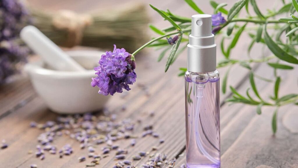 Understanding the Basics: What Is Hydrosol and Essential Oil?