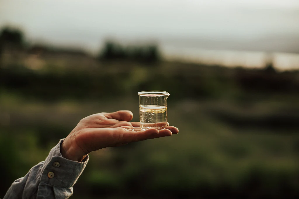 Which Is Better Medicinal Water Hydrosol or Essential Oil?